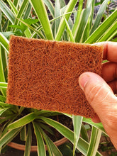 Natural Cocoscrub Dish Wash Pads (5 pads)